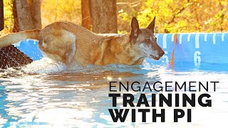 Michael Ellis Engagement Training With His Dog Pi [upl. by Chevalier]