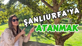 ŞANLIURFAYA ATANANLAR EL KALDIRSIN  URFADA ÖĞRETMENLİK [upl. by Ashwell788]