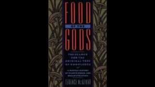 Terence Mckenna food of the gods part 2 [upl. by Johanan]