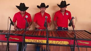 UN AÑO NOES UN SIGLO bolbere chiquitita ayuuy marimba sonora quetzal [upl. by Zennie237]