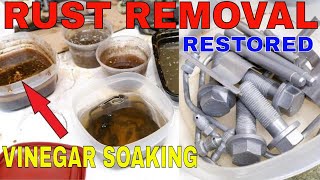 How to Remove Rust with Vinegar Baking Soda  Rusty Bolt Restore Tumbler Polish [upl. by Maghutte]