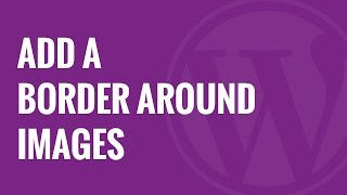 How to Add a Border Around an Image in WordPress [upl. by Palladin]