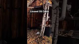 Linseed Oil Secrets for a STUNNING Cabin [upl. by Durstin]