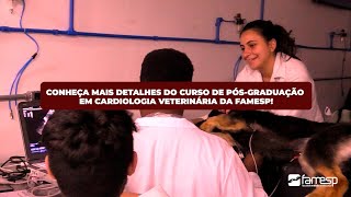 Saiba mais detalhes sobre o Curso de PósGraduação em Cardiologia Veterinária com a Lilian Petrus [upl. by Yadrahc146]