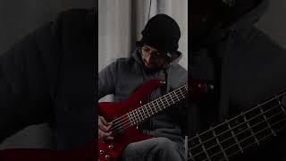 HozierDe Selby Part 2Bass Cover bassguitar hozier [upl. by Eeltrebor]