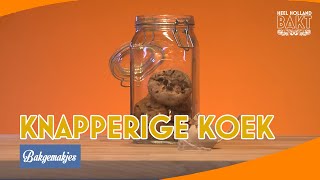 Bakgemakjes  Voorkomen  HEEL HOLLAND BAKT [upl. by Nodnerb908]