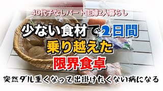 コメント欄開放した日の2日間の様子／買い物に行きなくないどうする？ [upl. by Alahcim862]