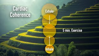 Cardiac Coherence  5 minute exercise breathing [upl. by Akoyin]