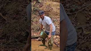 Recipe for success clay  saprolite bedrockchunkalicious Au goldprospecting [upl. by Averell]