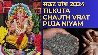 Til Chauth Vrat 2024 Puja Vidhi Sakat Chauth Vrat niyam 2024 [upl. by Smoht]