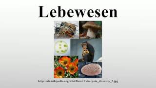 Lebewesen [upl. by Atilrahc]