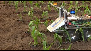 Farming robots get to grips with weeding at Harper Adams [upl. by Enaed]