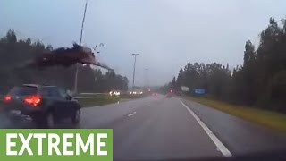 Intense dash cam footage of highway moose collision [upl. by Ahsitra]