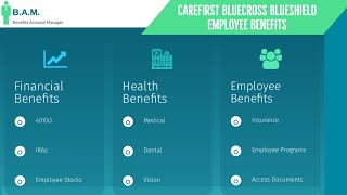 CareFirst BlueCross BlueShield Employee Benefits  Benefit Overview Summary [upl. by Pegma586]