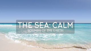 Sounds of the Earth  The Sea Calm [upl. by Desmond]