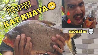 piranha fish attack in real lifepiranha fish videopiranha fish eating meatfish vlog 😬 [upl. by Rbma]