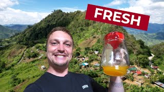 Fresh Calamansi Juice From The Farm Exploring Davao City [upl. by Siravat]