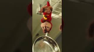 The Chipmunks messing around in the kitchen movierecaps animatedshorts fyp [upl. by Nyladnek59]