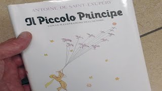 Il Piccolo Principe  Capitolo 24  audiolibro ilpiccoloprincipe [upl. by Gotthelf]