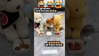 So cuteness my corgi puppy 😘🥺youtubeshorts shorts doglovers labrador 🙏🥹 [upl. by Nameerf269]