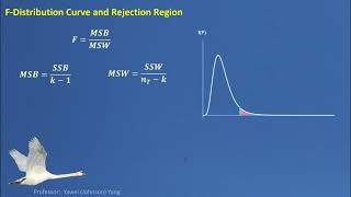 STAT F Test Applications [upl. by Susej]