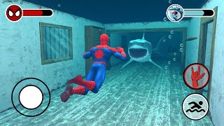 Playing as SpiderMan Family in Granny House Vs Great White Shark [upl. by Mcgruter345]