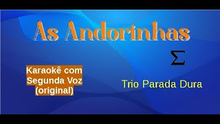 As Andorinhas  karaokê playback com a segunda voz original mantida  Trio Parada Dura [upl. by Hawk]