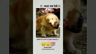 इंसानो‌ से तो अच्छे ये वेजूवन जानवर है 🥺♥️ sadvideostatusfeelingsvairalvideo [upl. by Pirzada412]