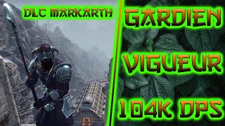 ESO  Gardien Vigueur  Build Pve Fr  104k  Markarth [upl. by Akinihs]