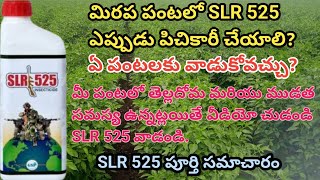 Slr 525 uses in telugu  slr 525 insecticide  slr 525 pesticide  slr 525 full information use [upl. by Leyla]