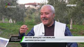 Yatırım Danışmanı  Zeytin Bahçesi Yatırımları  3Bölüm [upl. by Eel254]