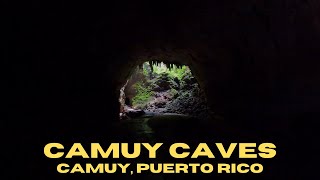 Walking Through the Third Largest Cave System in the World  Camuy Caves  Camuy Puerto Rico [upl. by Inavoj]