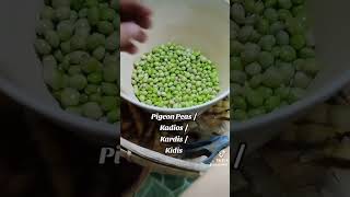 Pigeon Peas AKA Kadios  Kardis  Kidis gardening pigeonpeas foodgardening légumes peas [upl. by Petua]