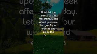 Let Go of Worries motivation inspiration positivevibes life motivationalquotes lifequotes [upl. by Notirb237]