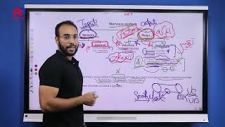 Autonomic nervous system lecture one by Dr omar kassem [upl. by Ettenahs]