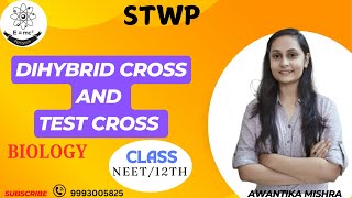 Dihybrid cross and test cross mendelian genetics genetics neet mendel lawscuet 12thboardexam [upl. by Dviad]