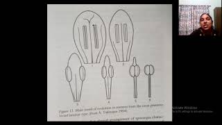 evolution Of stamens [upl. by Jablon]