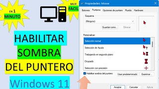 Cómo Habilitar SOMBRA del puntero del mouse en Windows 11 [upl. by Mulvihill]