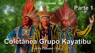 Coletânea Grupo Kayatibu vol 2  pt1  Casa Hairá  Ayahuasca [upl. by Rockel852]