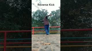 Reverse Kick amp Stretching kick workout exercise [upl. by Hilleary128]