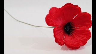 Lord Tweedsmuir Remembrance Day Assembly [upl. by Perren696]