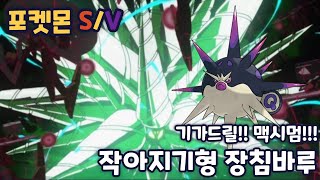 포켓몬스터 스칼렛바이올렛 궁극의 회피율 작아지기 장침바루 [upl. by Nassi215]