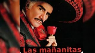 Las Mañanitas  Vicente Fernandez  Cumpleaños Feliz [upl. by Eloccin]