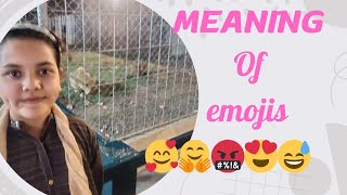 part 1meanings of emojis meaning of emojis on messengermeaning of emojis in whatsapp [upl. by Thurston]