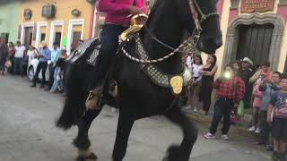 Frisones bailando en Talpa de Allende Jalisco [upl. by Gris710]