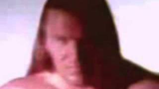 WCW WWF WWE Jean Paul Levesque Triple H Titantron [upl. by Pantia]