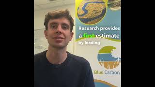 A preliminary estimate of the contribution of coastal blue carbon to climate change mitigation in NZ [upl. by O'Neill]