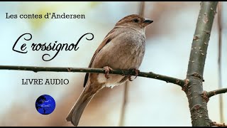 Le rossignol  Les contes dAndersen Livre Audio [upl. by Anauqaj]