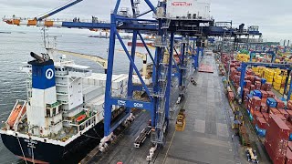 Opening Big Ship Covers and Loading Cargo on MC Trader  Quay Crane Operation STS [upl. by Rik494]