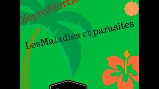 Les maladies des végétaux Partie 2 [upl. by Anura]